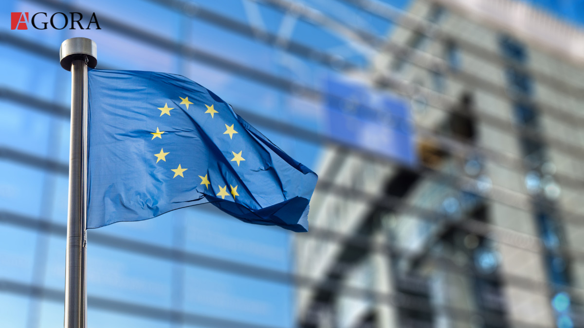 Europarlamentarii solicită instituțiilor UE să lucreze în vederea acordării Republicii Moldova statutului de țară candidată la aderare. O declarație comună a fost votată la Strasbourg (VIDEO)