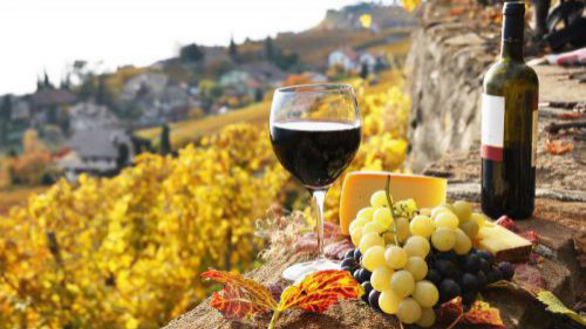 EXPERT-GRUP: Iregularitățile din industria vitivinicolă