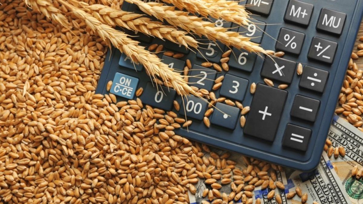 Interdicțiile la exporturile de grâu – necesitate sau interese ascunse? Ce spun autoritățile despre o eventuală mișcare în acest sens și ce părere au experții economici