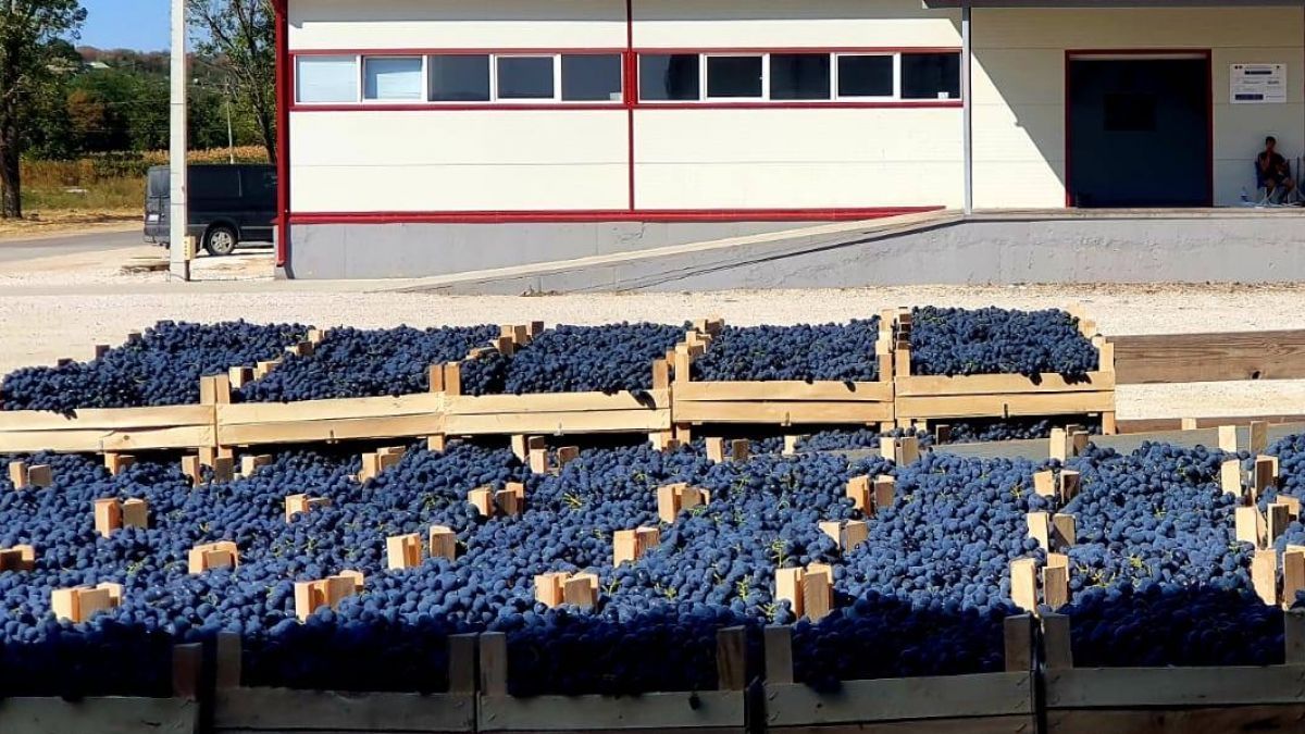 Exporturile moldovenești se recuperează destul de promițător, iar jumătate din creștere este asigurată de România