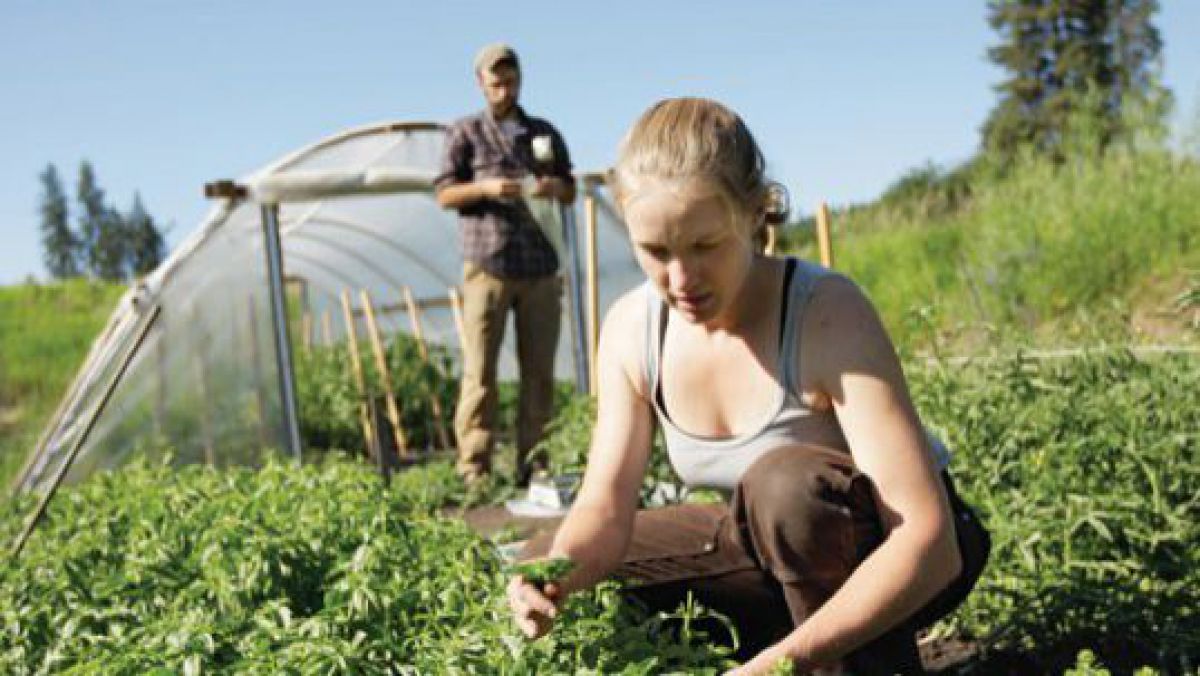 FAO Moldova va implementa un program de susținere a fermierilor mici și mijlocii 