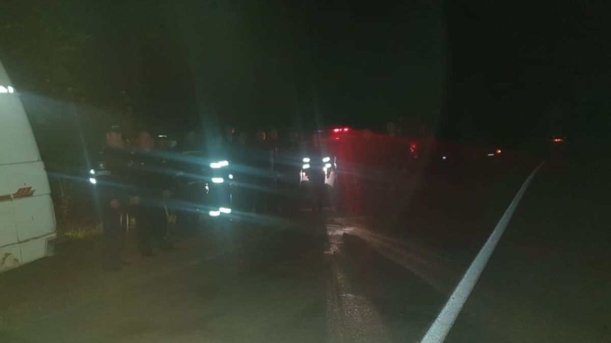Fetița dispărută în pădure a fost găsită de polițiști
