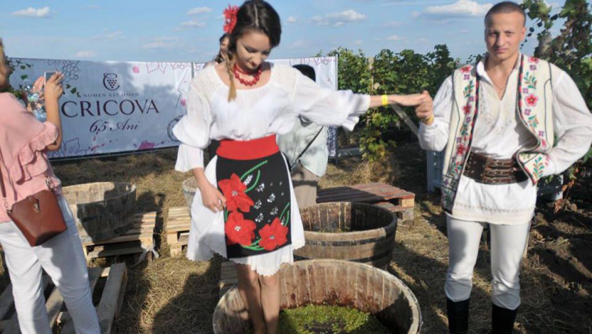 FOTO. 10 poze care îți redau atmosfera de la MustFest: Cât au costat micii și cârnăciorii