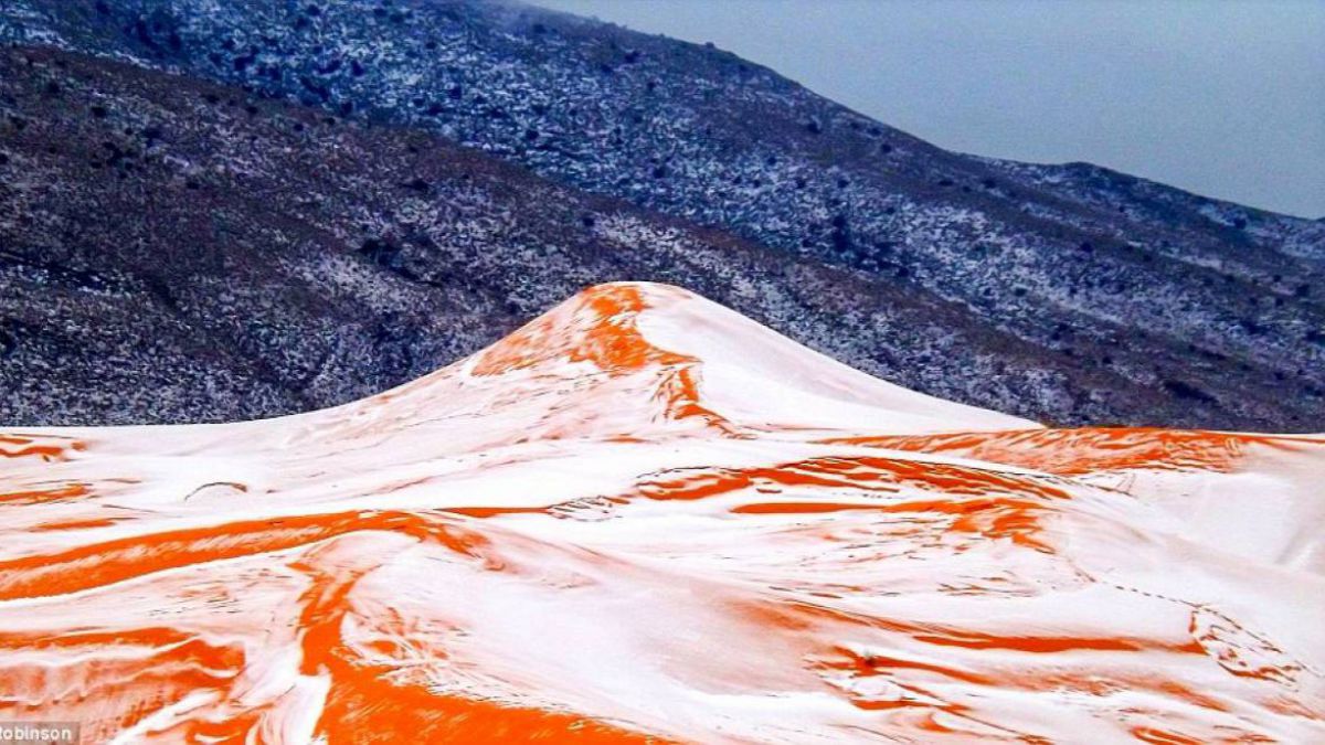 FOTO. A nins în deșertul Sahara, pentru prima dată în ultimii 37 de ani