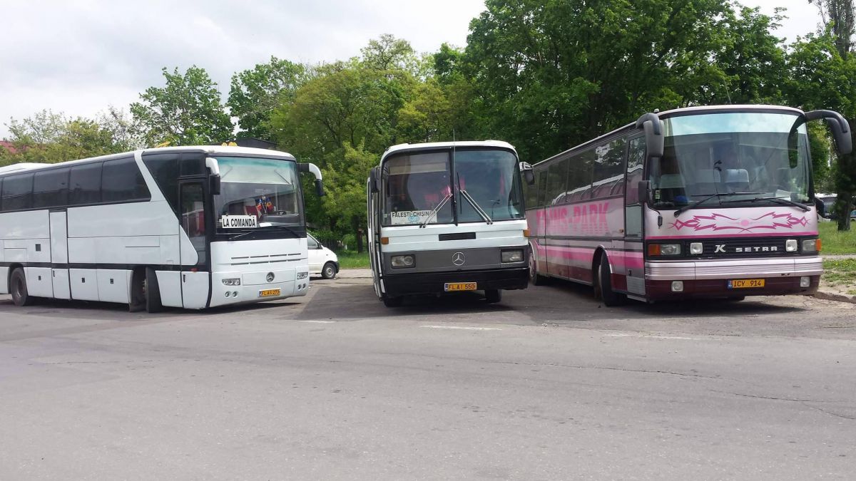 FOTO. Autocare închiriate, parcate în zona parcului industrial Tracom