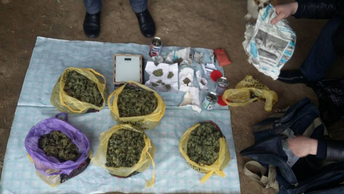 FOTO. Cinci persoane, prinse comercializând cannabis. Riscă 15 ani de închisoare