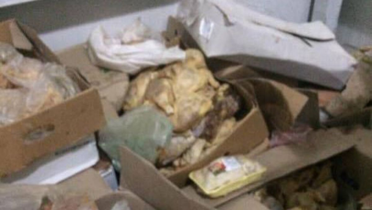 FOTO. Cum arată alimentele unui agent economic implicat în licitațiile trucate din școlile și grădinițele Capitalei