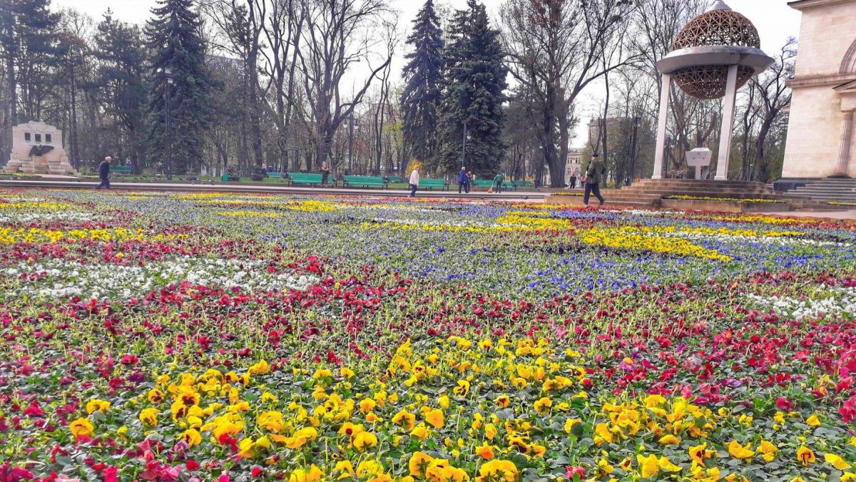 FOTO. Flori de două milioane de lei au format un covor „viu” în fața Catedralei
