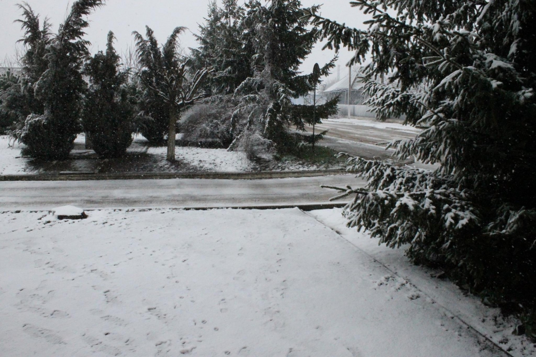 FOTO. Iarnă la început de aprilie. Cum va fi vremea în acest weekend
