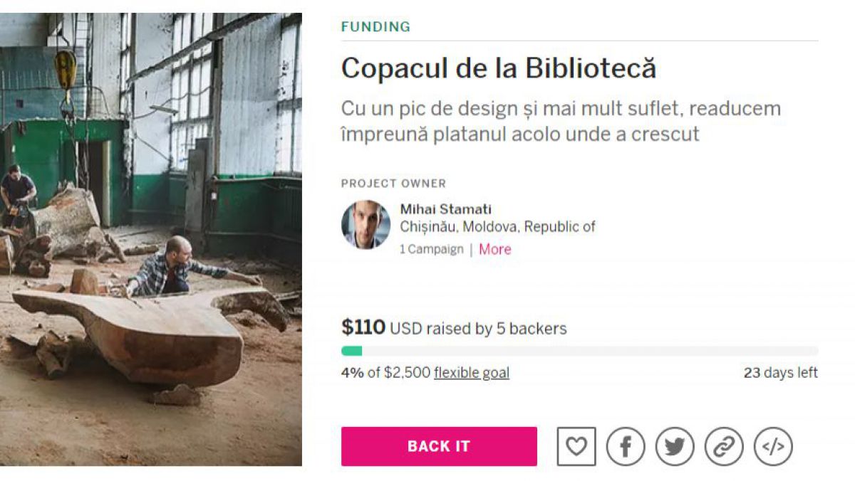 FOTO. Mihai Stamati te îndeamnă să devii complice în povestea copacului de la bibliotecă: „Donați modest, dar molipsitor”