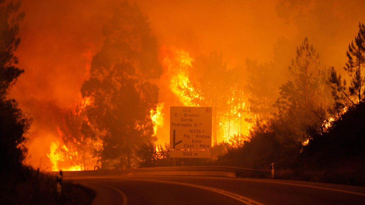 FOTO. Portugalia: Un incendiu de pădure a luat viețile a 62 de persoane