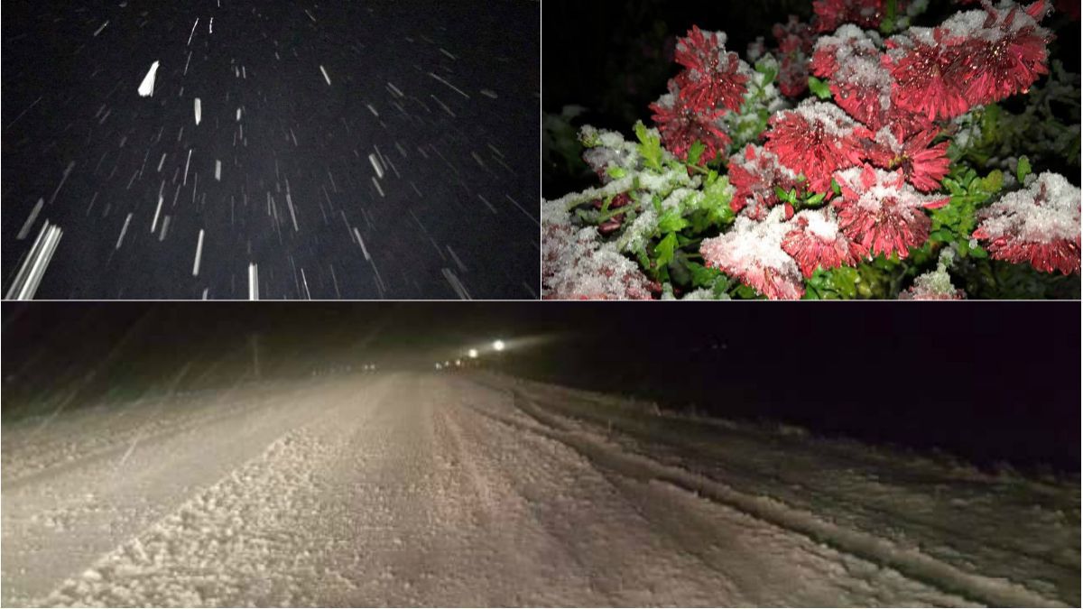 FOTO. Primele fotografii cu ninsoarea din această noapte de la nordul țării