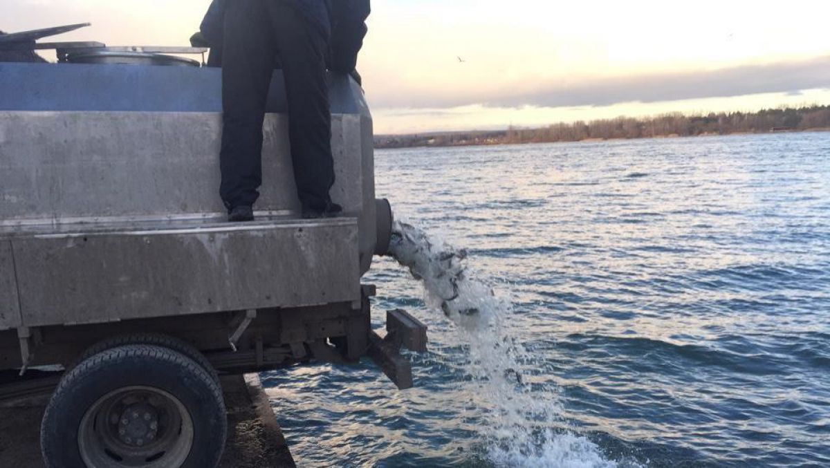 FOTO, VIDEO. În lacul de acumulare Dubăsari continuă popularea cu puiet de pește