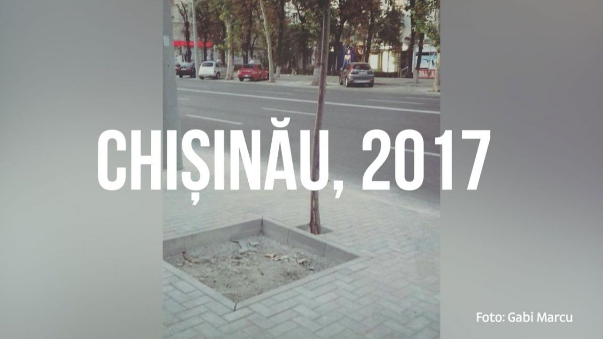 FOTO, VIDEO. Un nou model de pavaj pe bd Ștefan cel Mare: Așa se împrejmuiesc mai nou copacii