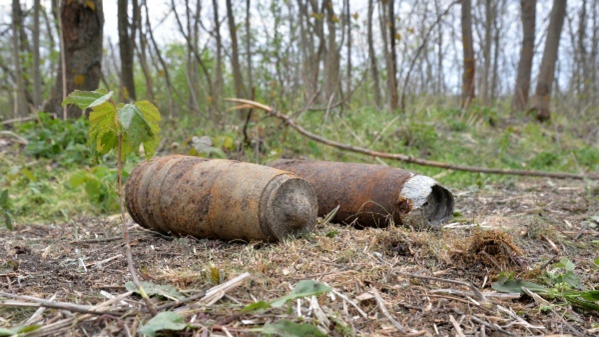 Geniștii au găsit peste 800 de obiecte explozive într-o pădure din Ialoveni (VIDEO)