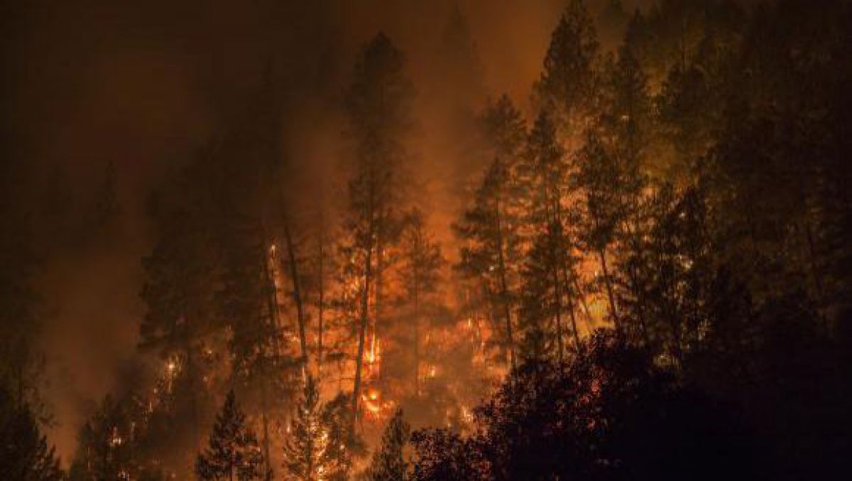 Germania: Stare de urgență după ce un incendiu a izbucnit în urma testării unei rachete
