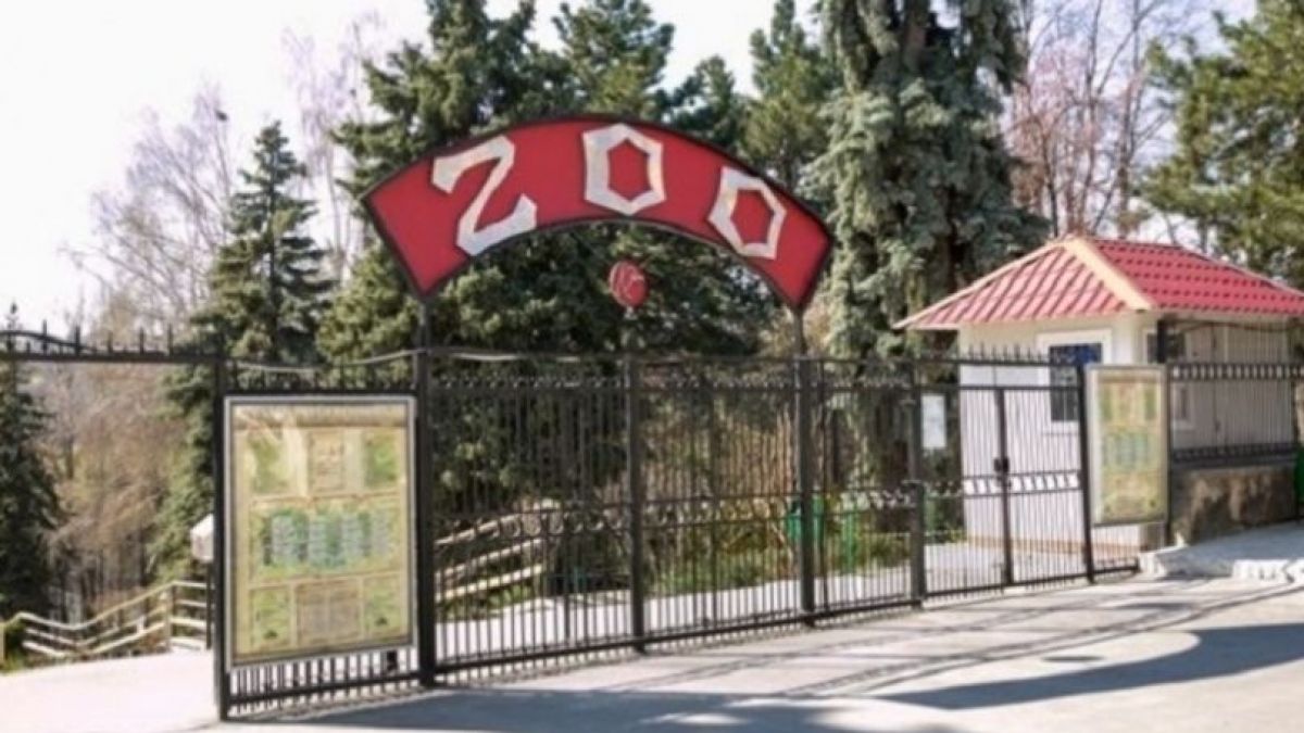 Grădina Zoologică din Chișinău își închide porțile pentru 10 zile