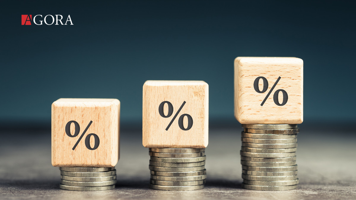 Guvernatorul BNM: În lunile octombrie-noiembrie, inflația ar putea ajunge până la 34.7% (VIDEO)