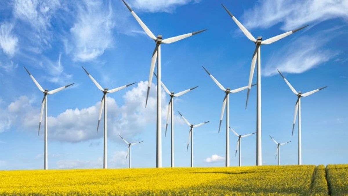 Guvernul spune „da” unui proiect de modificare a Codului Funciar: Centralele eoliene ar putea apărea și pe terenuri agricole de calitate superioară