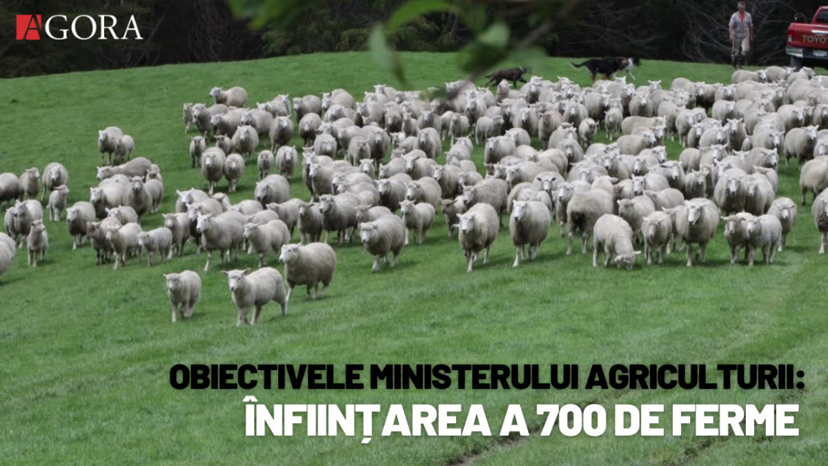 În R. Moldova ar putea fi înființate 700 de ferme de animale. Ce presupune Programul de Dezvoltare a Sectorului Zootehnic