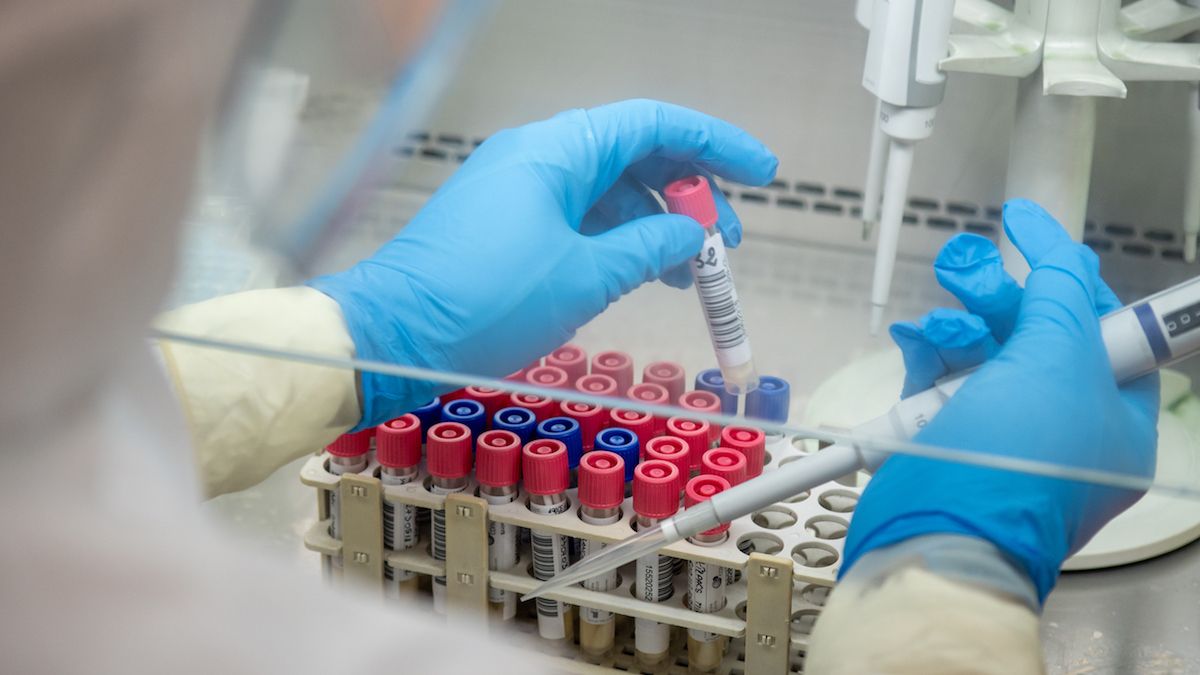 În R. Moldova au fost realizate primele secvențieri ale virusului SARS-CoV-2. În 31 de probe a fost depistată varianta Delta
