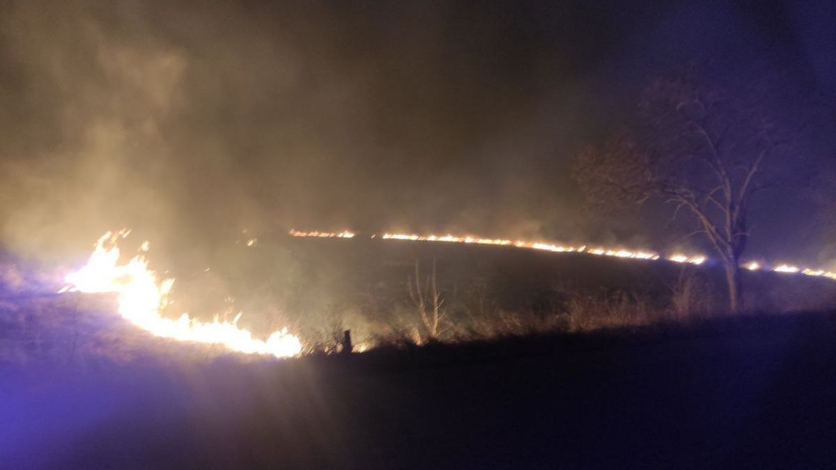 Incendiile de vegetație nu contenesc. Pompierii au stins peste 300 de focare în ultimele 24 de ore (FOTO VIDEO)