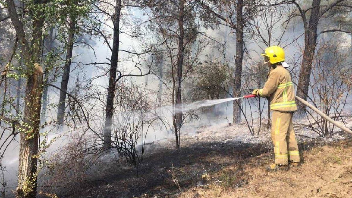 Incendiu de proporții în raionul Șoldănești. Peste 100 hectare de iarbă uscată au fost cuprinse de flăcări (FOTO)
