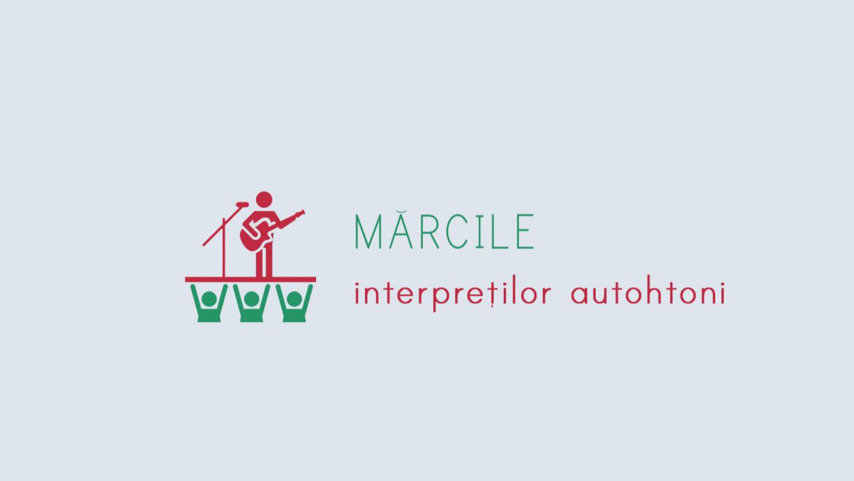 INFOGRAFIC. Mărcile interpreților moldoveni