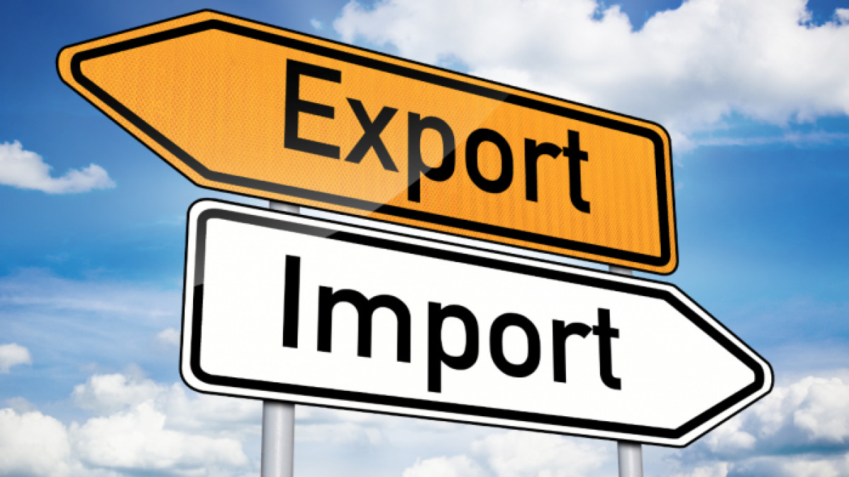 Ioniță: În primele două luni ale anului, exporturile Moldovei au înregistrat cel mai mare record din istorie