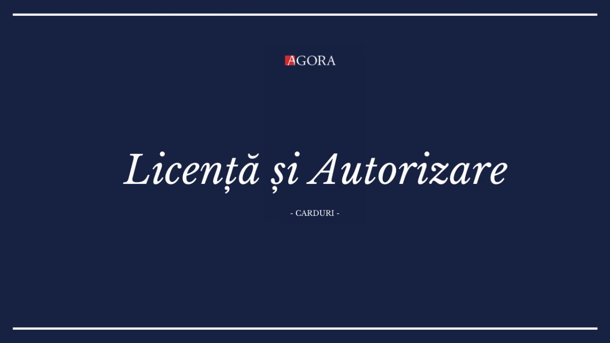 Ai deschis o firmă? Aceasta nu poate funcționa fără licențierea și autorizarea afacerii. Cum faci asta, pas cu pas (CARDURI)