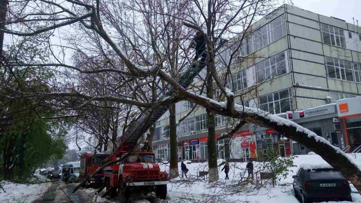 Linia verde și telefoanele de urgență la care puteți suna pentru ajutor