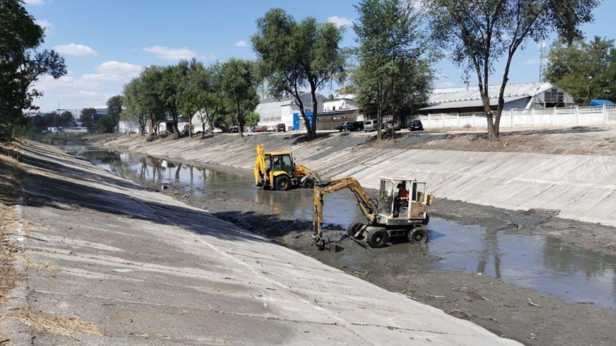 Lucrările de curățare a râului Bâc trec pe tronsonul doi, urmând să fie finalizate la 10 septembrie