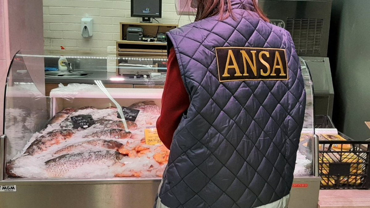Mai multe loturi de pește au fost scoase din comerț. ANSA spune cum alegem produs de calitate