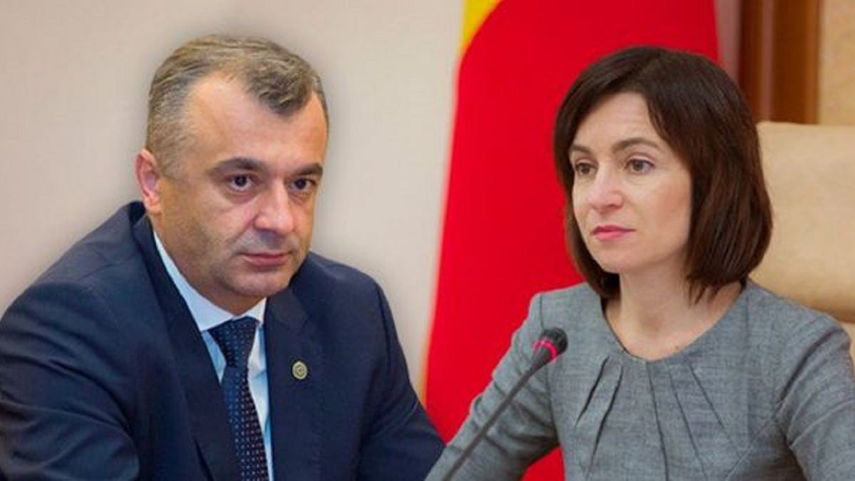 Maia Sandu - pisică prietenoasă, pe când Ion Chicu - un câine devotat. Autorii unui sondaj au întrebat moldovenii cu ce animale li se asociază politicienii (GRAFIC)
