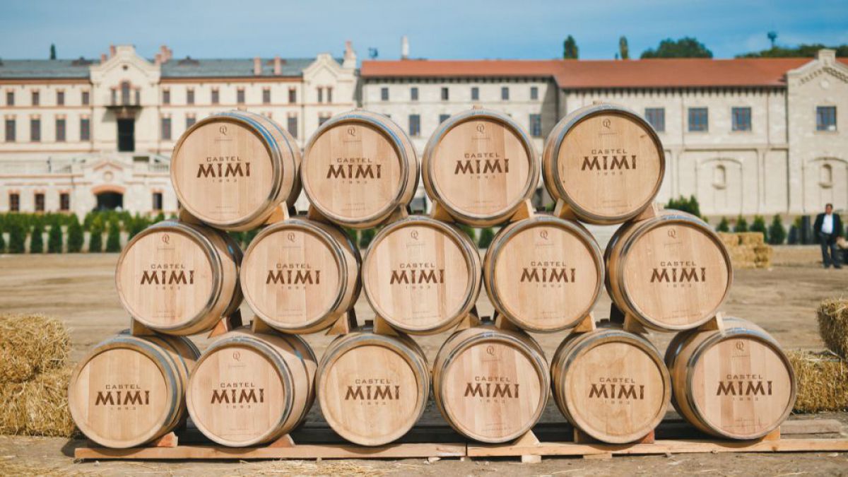 Marele Premiu în domeniul Vinicol pentru anul 2016 îi revine întreprinderii „Castel Mimi”