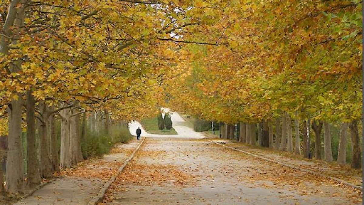 Temperaturi de +18 grade la sud și cer variabil. Cum va fi vremea în această săptămână