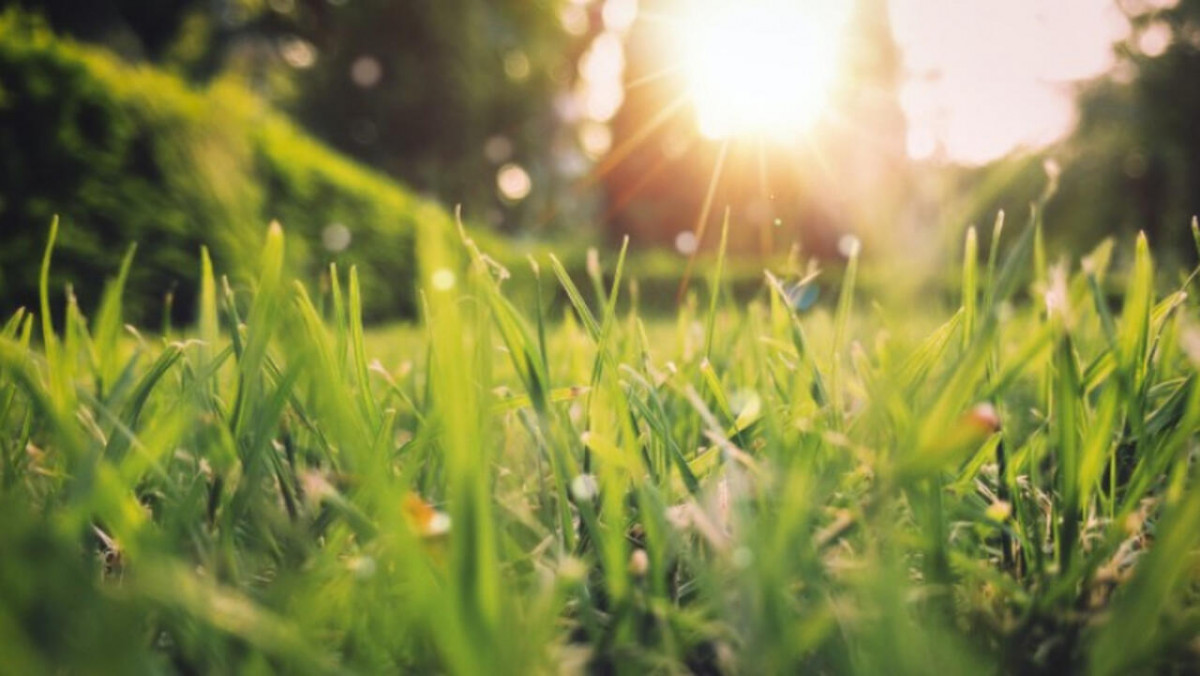 Meteo pentru weekend: Temperaturi de până la +25C și șanse de ploi pe timp de noapte