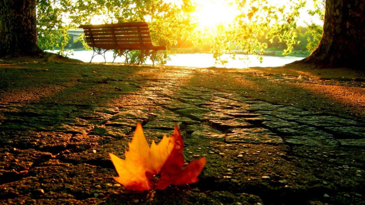 Meteo: Timpul se răcește în ultima săptămână din septembrie. Noaptea, mercurul din termometre va coborî la +4C