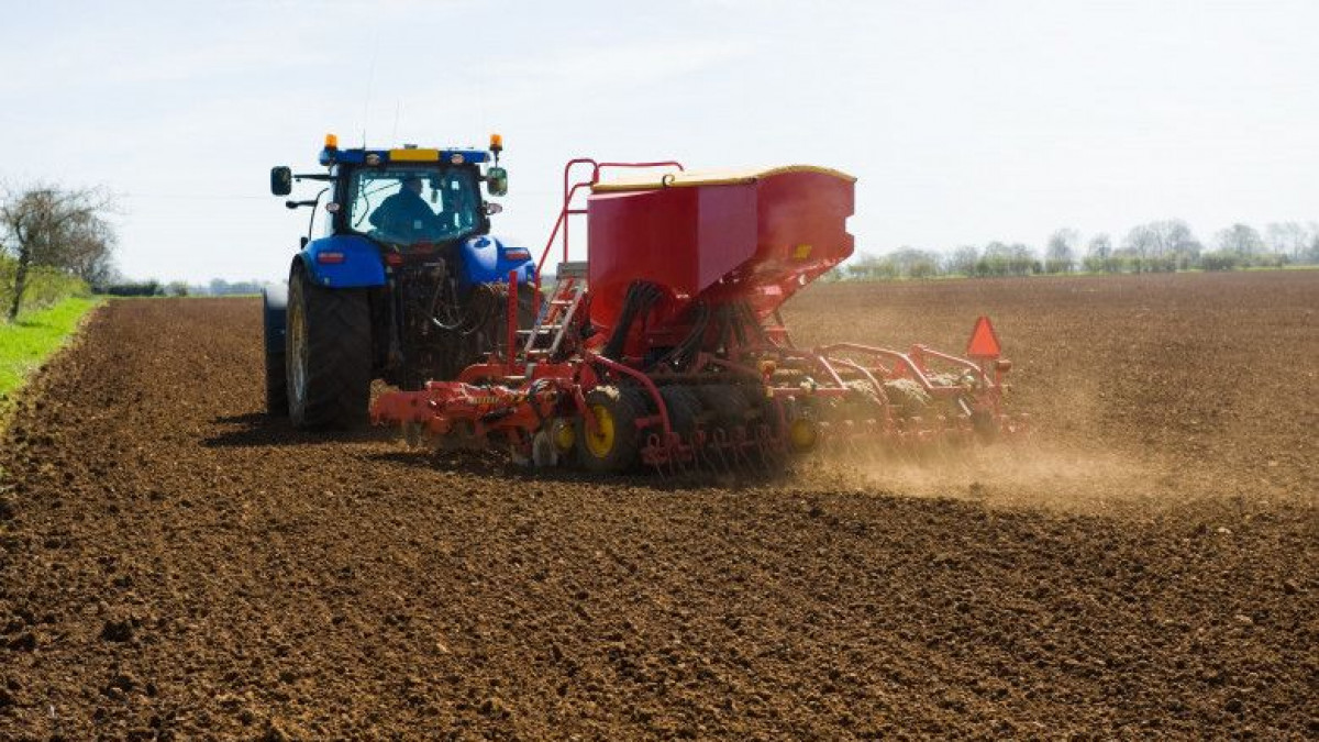 Ministerul Agriculturii: Ucraina a pierdut un sfert din terenurile sale cultivabile din cauza invaziei ruse