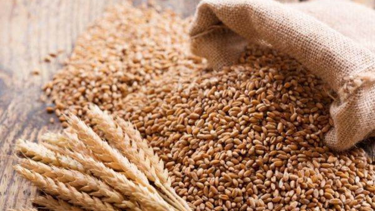 Ministrul interimar al Agriculturii: Țara dispune de suficient grâu, iar R. Moldova nu poate institui restricții de export