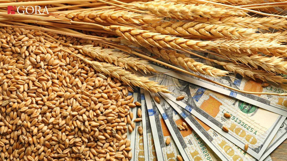 Ministerul Agriculturii își propune ca schimburile comerciale dintre R. Moldova și Turcia să ajungă la un miliard de dolari