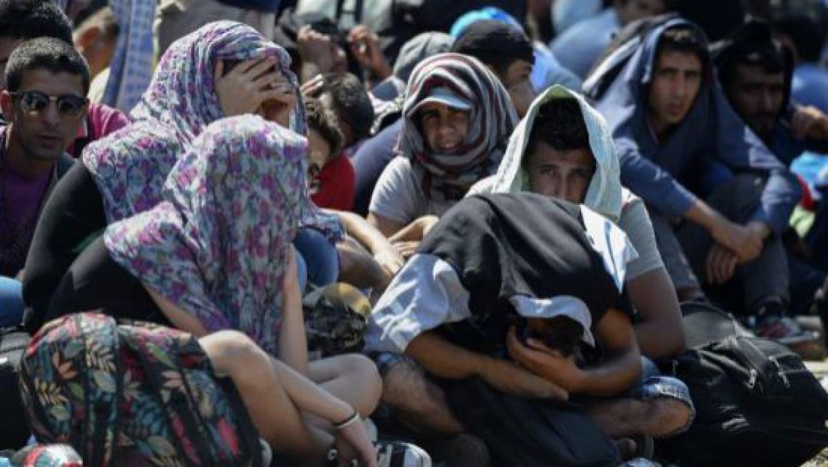 Ministrul de Externe din Austria: Criza imigranţilor a devenit un dezastru umanitar