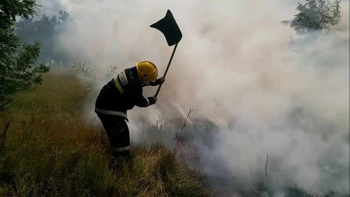 Moldova ia foc. În 24 de ore, pompierii au lichidat 20 de focare de vegetație