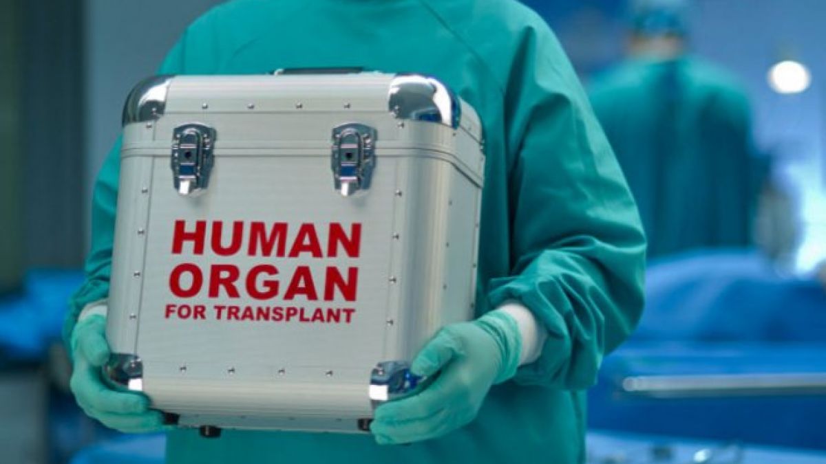 Moldoveni, duși în Bulgaria pentru transplanturi ilegale de rinichi: Erau prezentați drept nepoți ai unor bogătași din Israel, Japonia, Germania și Oman
