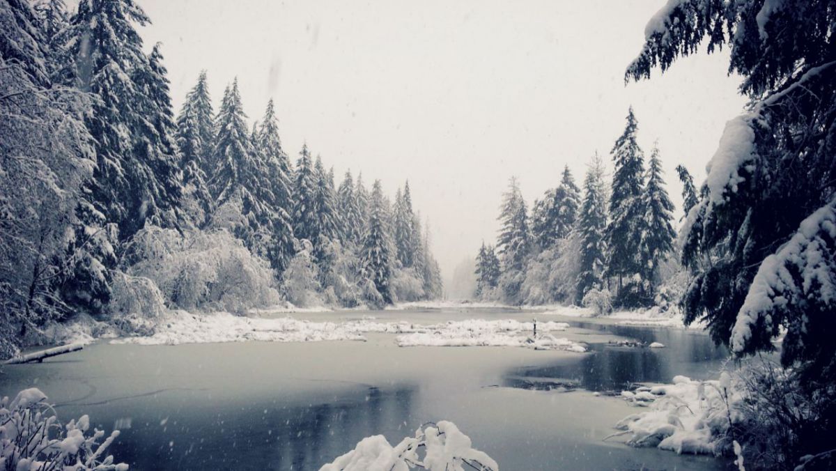 Ninsori de Revelion la nordul țării! Care este prognoza meteo pentru următoarele zile