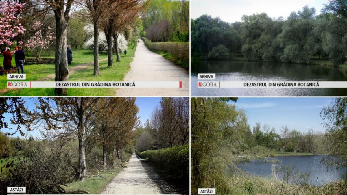 NO COMMENT! Ce a fost și ce a rămas din Grădina Botanică