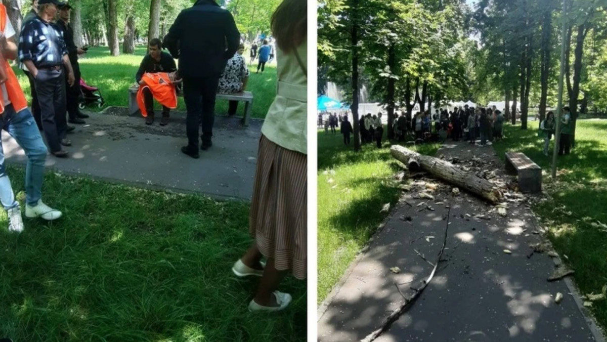 O buturugă a căzut peste un copil de doi ani în parcul Alunelul. UPDATE: Fetița a decedat la spital 