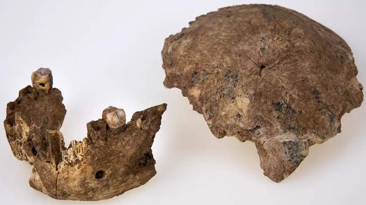 O nouă specie de om preistoric, descoperită în urma unor săpături arheologice din Israel