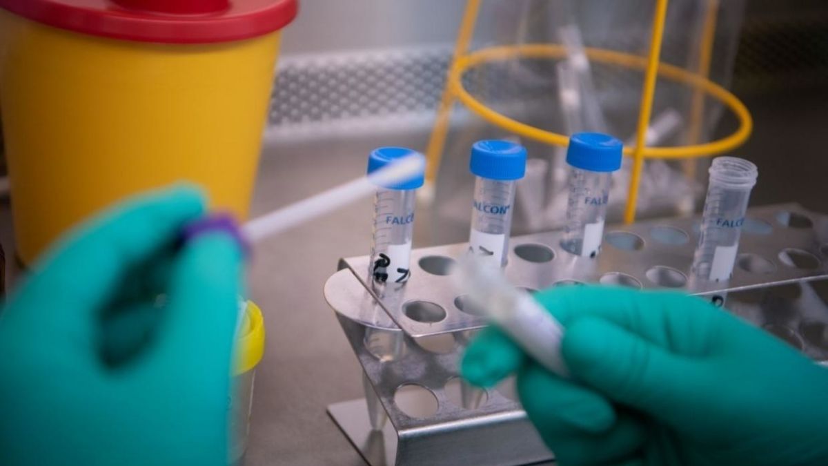 O nouă tulpină de coronavirus a fost descoperită în Nigeria