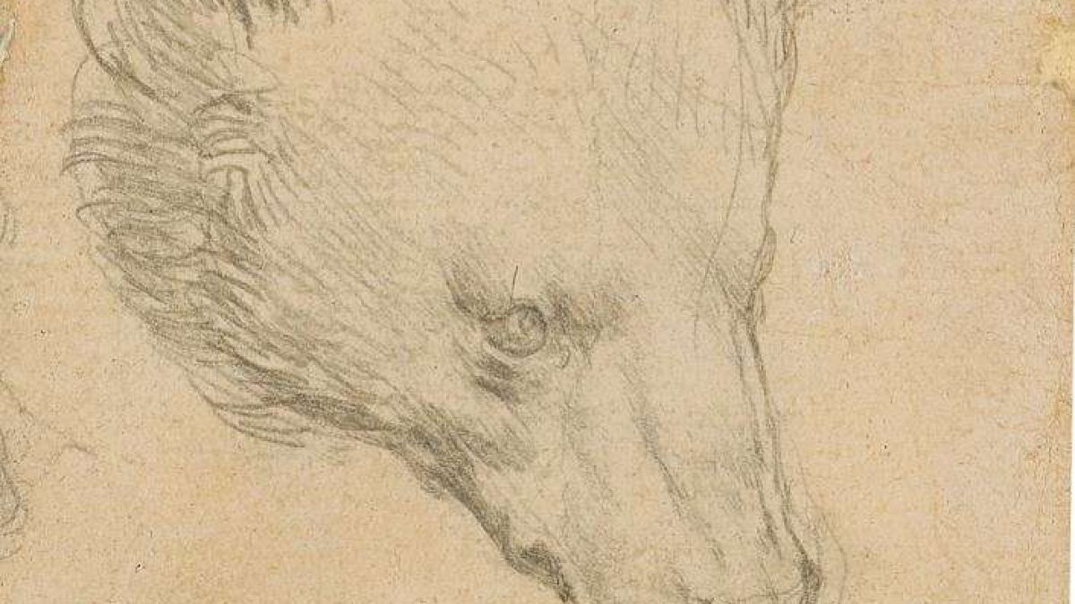 O schiță a unui cap de urs, desenată de Leonardo da Vinci, va fi scoasă la licitație